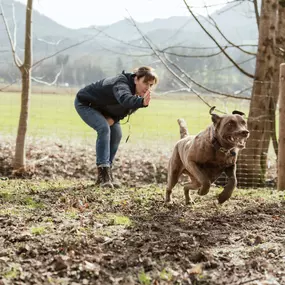 Bild von dogs & dogs Hundeschule Rosenheim