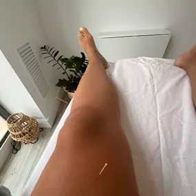 img5.jpg