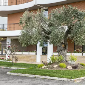 Bild von B&B HOTEL Pomezia Cortese