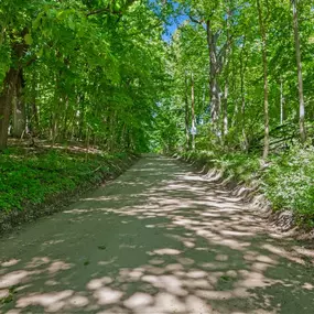 The Barton Nature Area trail is just one of many scenic options for hiking, running, and biking in Ann Arbor