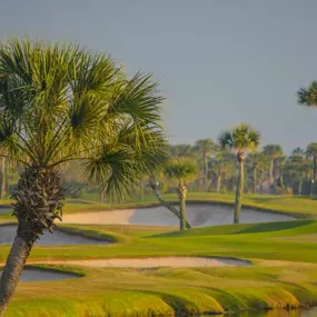 Wide range of nearby golf courses, from challenging championship layouts to more relaxed, scenic options