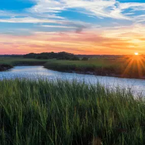 Incredible Marsh Views