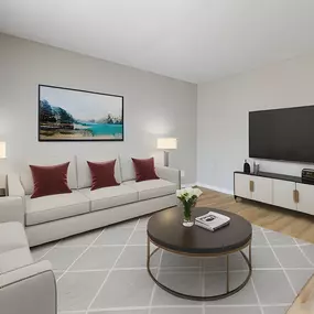 Living room with couches and a coffee table