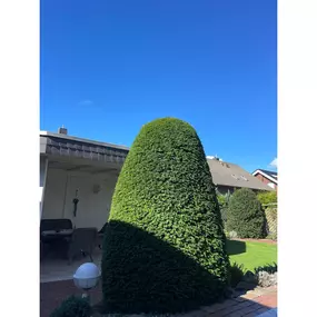 Bild von B&B Gartenbau GbR