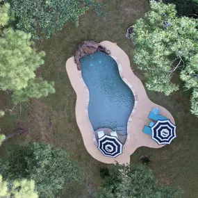 Bild von Limitless Custom Pools and Backyards