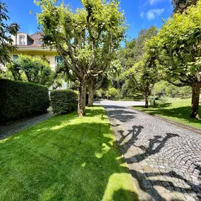 Bild von Green and Co Paysages Sàrl