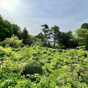 Bild von Green and Co Paysages Sàrl