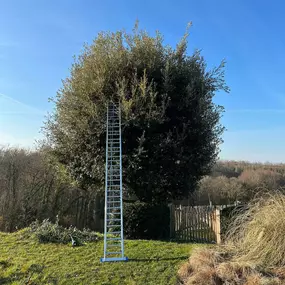 Bild von Green and Co Paysages Sàrl