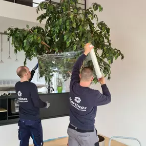 Bild von Martinas GmbH