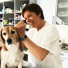 Bild von Kleinschroth Anja Tierarzt