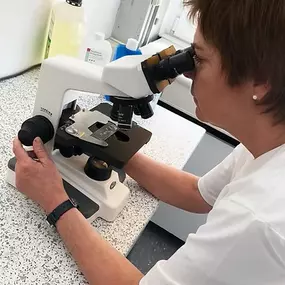 Bild von Kleinschroth Anja Tierarzt