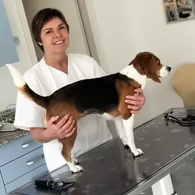 Bild von Kleinschroth Anja Tierarzt