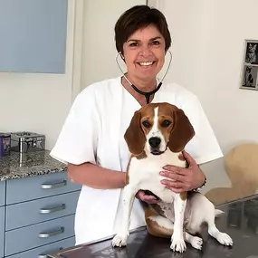 Bild von Kleinschroth Anja Tierarzt