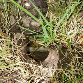 The image shows an uncovered hole in the soil with a visible PVC pipe beneath the surface. The surrounding area has patches of grass and dry vegetation, suggesting possible maintenance or repair work.