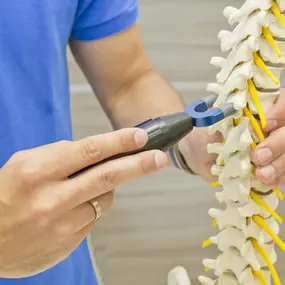 Bild von Orthopäde & Osteopath Dr. Markus Serek | Wien