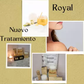 231937012-1-tLPGnbFRwz1694249776601.png