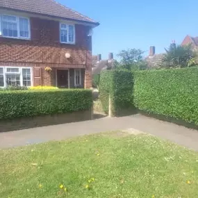 Bild von LDoyle Landscapes and Gardening