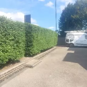 Bild von LDoyle Landscapes and Gardening