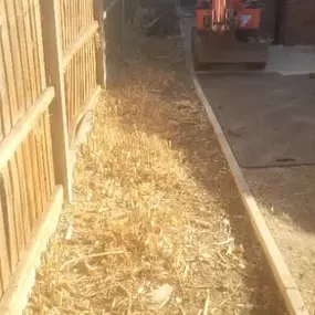 Bild von LDoyle Landscapes and Gardening