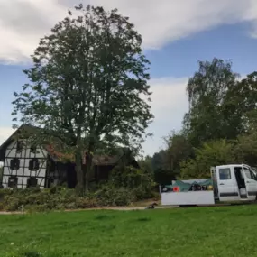 Bild von Baumpflege Hofstetter GmbH