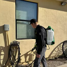 Pest Control Gold Canyon
GreenGo Pest Arizona