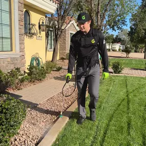 General Pest Control
GreenGo Pest Arizona