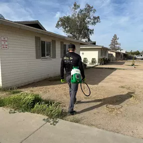 Weed Control
GreenGo Pest Arizona