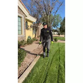 Pest Control Queen Creek
GreenGo Pest Arizona