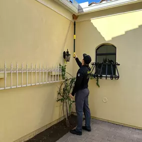Pest Control San Tan Valley
GreenGo Pest Arizona