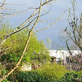 Bild von La Forêt des Ronrons
