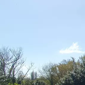 Bild von La Forêt des Ronrons