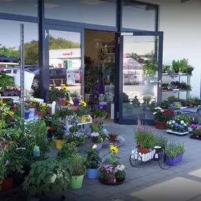 Bild von Greizer Vogtlandblumen GmbH