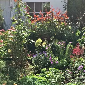 Bild von Paarberatung und Coaching - Beratung im Garten
