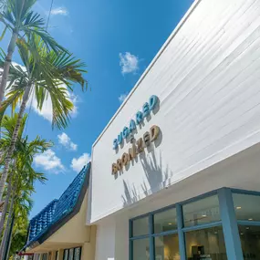 SUGARED + BRONZED Coral Gables Storefront
