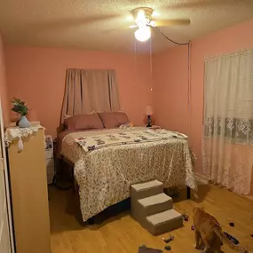 This cozy, peach-colored bedroom painted by 3 Brothers Painting & Home Improvements, LLC features soft lighting, wooden flooring, pet-friendly furnishings, and a comfortable bed, creating a warm and inviting living space.