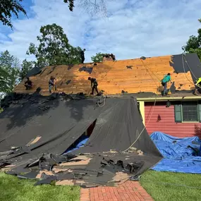 Bild von Kelly Exteriors