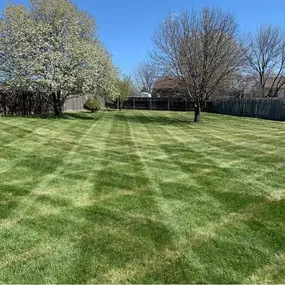 Lawn Care in Omaha