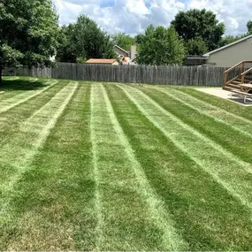 Lawn Care in Omaha