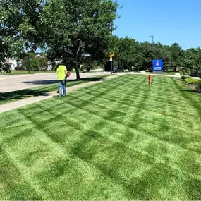 Lawn Care in Omaha