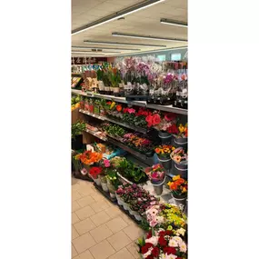 Bild von Lebensmittelmarkt Rohland e.K.