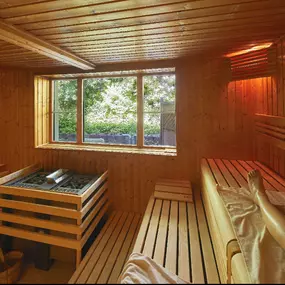 Das ist eine unserer Sauen.