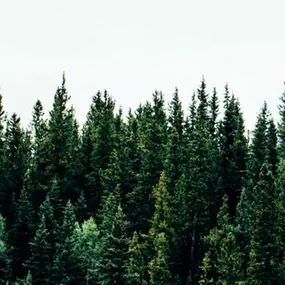 Bild von Woidpellets Rattenberg GmbH - Pellets aus dem bayerischen Wald