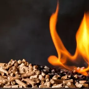 Bild von Woidpellets Rattenberg GmbH - Pellets aus dem bayerischen Wald