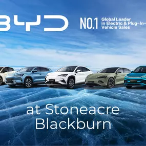 Bild von BYD Blackburn