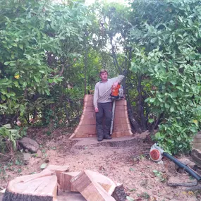 Bild von Old England Tree Care