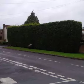 Bild von Old England Tree Care