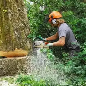 Bild von Old England Tree Care