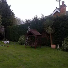 Bild von Old England Tree Care