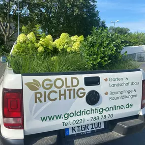 Bild von GoldRichtig Garten-und Landschaftsbau GmbH