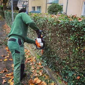 Bild von GoldRichtig Garten-und Landschaftsbau GmbH